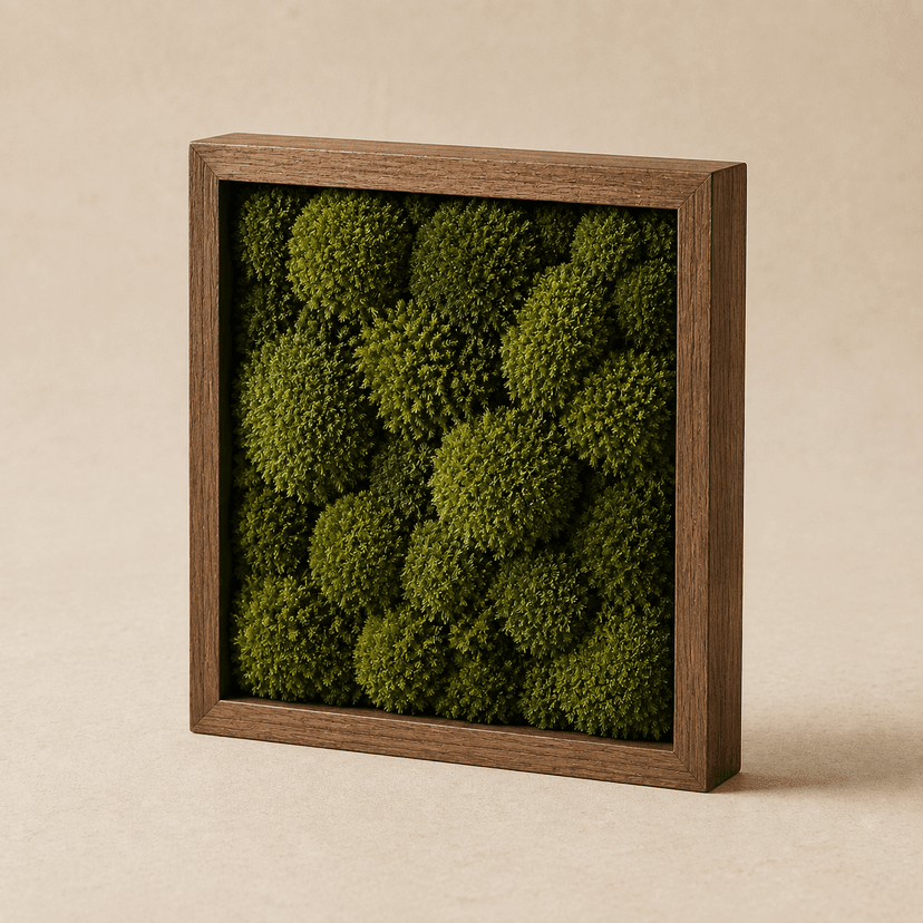 Ledge Preserved Moss Frame