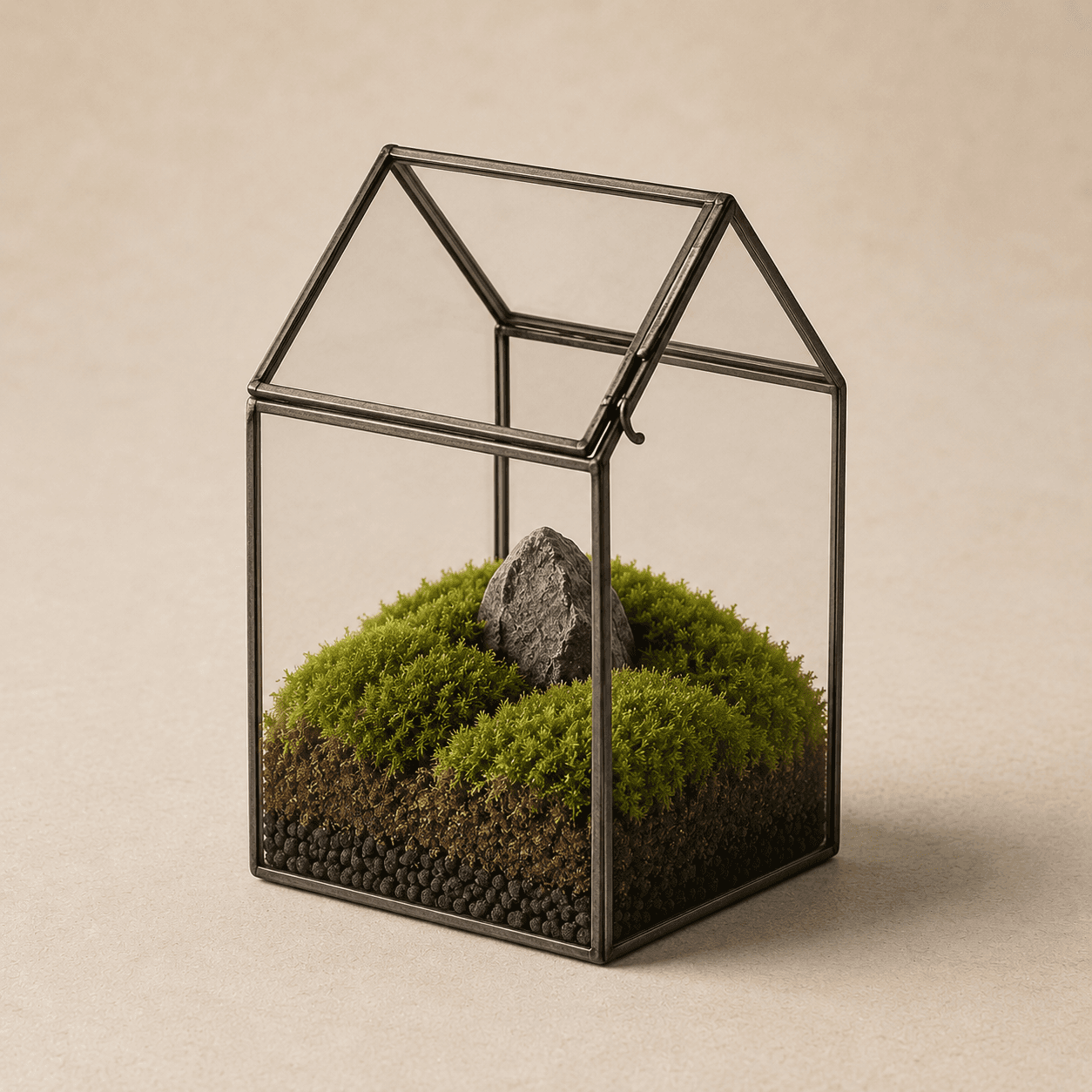 Glasshouse Terrarium Kit